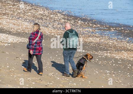 couple d'âge moyen promenant leur chien ensemble le long d'une plage de sable et de pierre au bord de la mer. Couple promenant un grand chien sur une plage. Banque D'Images