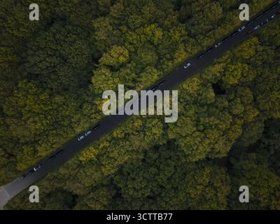 Vue aérienne d'une route traversant une dense canopée de forêt verte, créant un contraste frappant entre l'asphalte foncé et le feuillage vibrant, Pildammsparken, Malmo, Suède. Banque D'Images