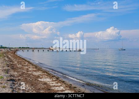 Vue sur le parc de la plage d'Amager, plage artificielle sur une île avec un lagon, sports nautiques, kiosques et cafés Banque D'Images