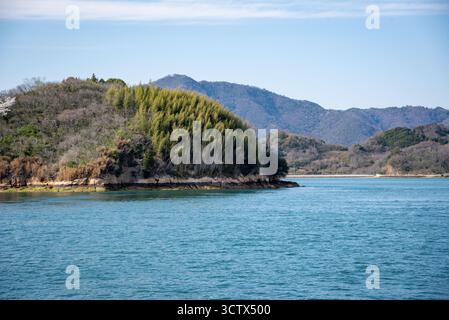 Une colline luxuriante couverte de forêt de bambous s'élève des eaux côtières turquoises calmes du Japon rural. Banque D'Images