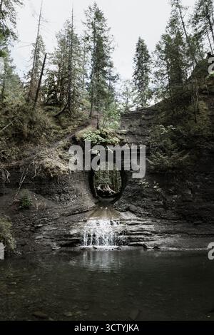 Un magnifique paysage naturel comprend une arche rocheuse au-dessus d'une petite cascade, entourée de grands arbres. La scène capture la beauté du grand extérieur Banque D'Images