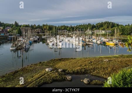Une scène de marina tranquille comprend plusieurs bateaux amarrés au rivage, entourés d'une végétation luxuriante et d'une voie navigable paisible reflétant le ciel. Banque D'Images