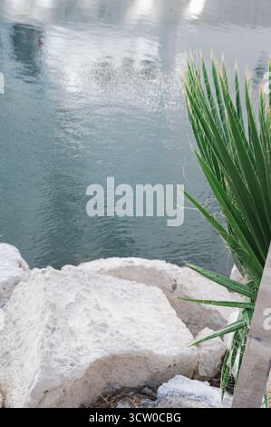 Une vue magnifiquement sereine sur l'eau calme et claire, avec des roches lisses et des plantes vertes vibrantes qui bordent le rivage Banque D'Images