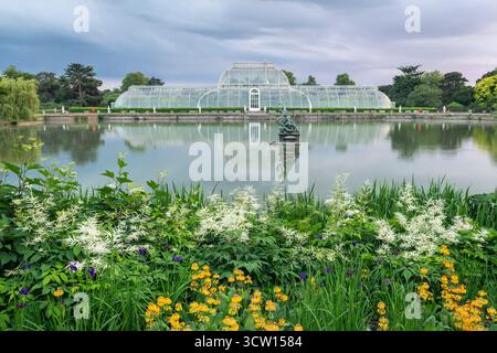 The Palm House à Kew Gardens à Richmond, Angleterre. Banque D'Images