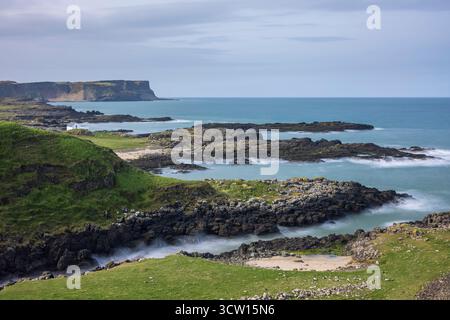 Vue le long de la Causeway Coast près de Dunseverick Harbour, comté d'Antrim, Irlande du Nord. Printemps (mars) 2024. Banque D'Images
