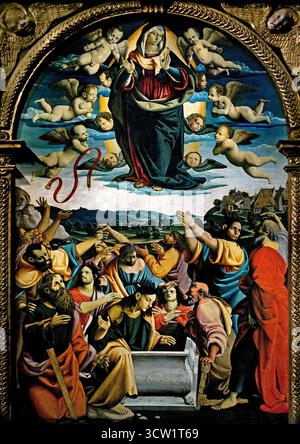 Assomption de la Vierge avec St Laurence Benoît , Marie Madeleine & Scolastica - Cola dell'Amatrice ( Nicola Filosesio detto - Amatriche ) 1480-1559 Pinacothèque Musée du Vatican Rome Italie Banque D'Images