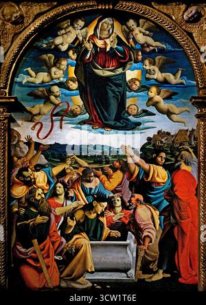 Assomption de la Vierge avec St Laurence Benoît , Marie Madeleine & Scolastica - Cola dell'Amatrice ( Nicola Filosesio detto - Amatriche ) 1480-1559 Pinacothèque Musée du Vatican Rome Italie Banque D'Images