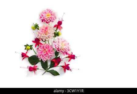 Fleurs rose dahlia et rouge fuchsia triphylla sur fond blanc avec espace pour le texte. Vue de dessus, pose à plat Banque D'Images