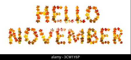 Bonjour novembre lettrage texte de feuilles d'érable automnales colorées sur fond blanc. Vue de dessus, pose à plat Banque D'Images