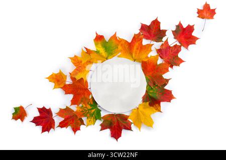 Feuilles d'érable colorées automnales avec un cercle blanc carte de papier vierge avec espace pour le texte sur fond blanc. Vue de dessus, pose à plat Banque D'Images