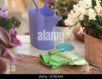 Fleurs en fleurs dans des pots en terre cuite et des outils de jardinage sur la table de balcon. Nature et soin des plantes à domicile. Aménagement de l'espace et aménagement intérieur. Banque D'Images