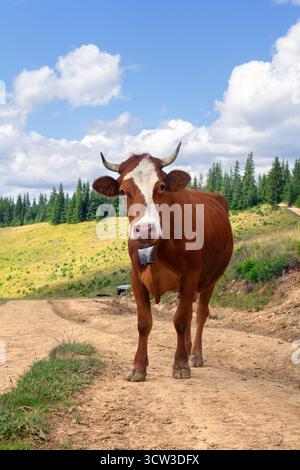 Une vache brune se dresse sur une route de montagne rurale avec de belles vues panoramiques sur les collines verdoyantes environnantes et les montagnes majestueuses sous un ciel bleu avec Banque D'Images