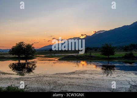 Lever de soleil serein sur le lac tranquille Kerkini avec des arbres silhouettés Banque D'Images