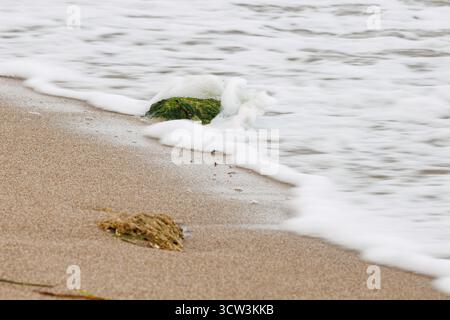 Plage avec des rochers couverts d'algues et flou de mouvement dans l'eau véhiculant le dynamisme, Alicante, Espagne Banque D'Images