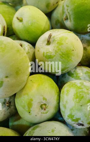 De nombreuses pommes vertes fraîches sont empilées ensemble dans un marché, mettant en valeur leur couleur vibrante et leur surface lisse. Le réglage capture la fraîcheur Banque D'Images