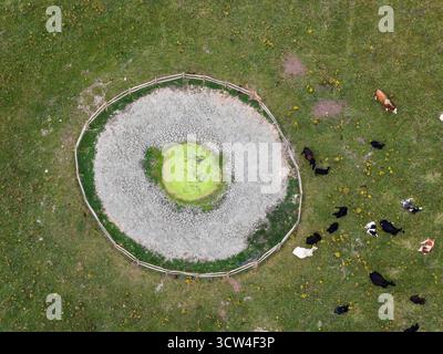 Vue aérienne par drone du point d'abreuvement et du bétail à Beachy Head, Angleterre. Banque D'Images