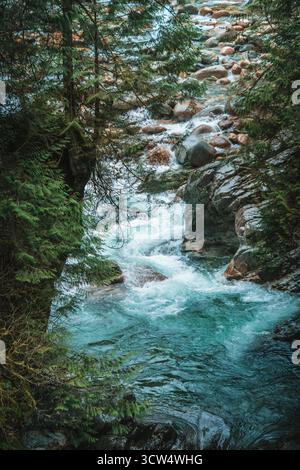 Une rivière vibrante coule rapidement à travers une forêt dense, entourée de grands arbres et de pierres lisses. L'eau claire scintille sous la douce lumière, creat Banque D'Images