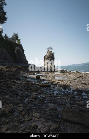 Un littoral rocheux présente une formation de pierre haute avec un seul arbre au sommet. Un ciel bleu clair est visible, et la marée basse révèle que plus de roches se dispersent Banque D'Images
