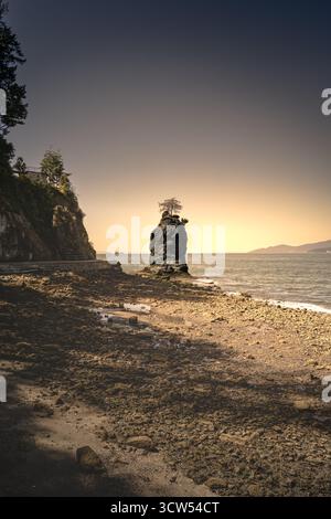 Une scène de rivage tranquille présente une grande formation rocheuse avec un arbre au sommet. Le soleil se couche en arrière-plan, projetant des teintes chaudes sur l'eau calme an Banque D'Images