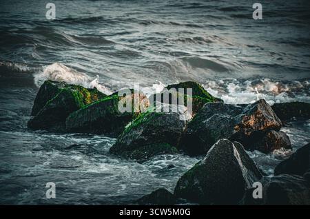 Vagues de mer agitées s'écrasant contre Dark Rocks recouverts d'algues vertes et de mousse Banque D'Images