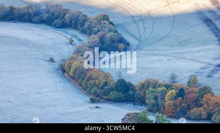Frozen Field vista avec une ligne d'arbres colorés serpentant à travers le paysage. Un environnement serein et froid pendant la saison d'automne. Les rochers Sulov, Banque D'Images