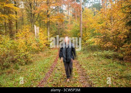 Homme nordique marchant dans la forêt d'automne profitant du calme dans la nature. L'homme et la nature, loisirs en forêt Banque D'Images