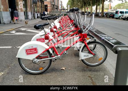 Anvers, Belgique - 23 août 2018 - rangée de vélos de location rouges alignés sur la rue de la ville à anvers. Banque D'Images