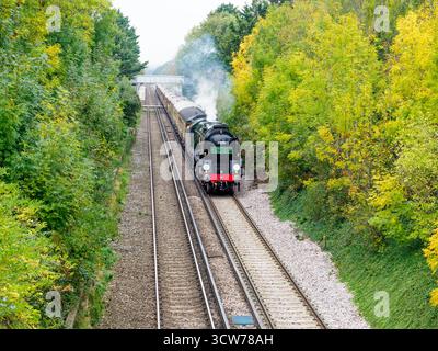 Teynham, Kent, Royaume-Uni. 10 octobre 2025. Le train à vapeur Clan Line (35028) a vu la vapeur à travers la campagne automnale du Kent alors qu'il passait par Teynham près de Sittingbourne cet après-midi lors d'un voyage de Londres à Douvres. Crédit : James Bell/Alamy Live News Banque D'Images