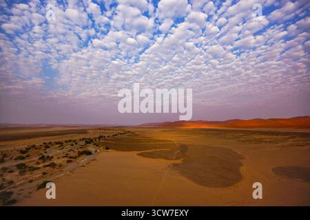 Vue aérienne des plaines et des dunes du désert du Namib en Namibie à la première lumière du matin Banque D'Images