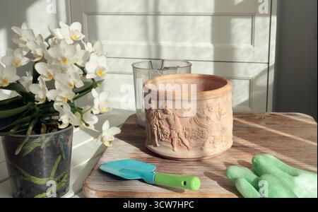 Fleurs en fleurs dans des pots en terre cuite et des outils de jardinage sur la table. Nature et soin des plantes à domicile. Aménagement de l'espace et aménagement intérieur. Banque D'Images