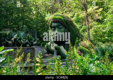 Mosaïculture de la Déesse de la Terre (sculpture végétale) au jardin botanique d'Atlanta à Atlanta, Géorgie. Banque D'Images