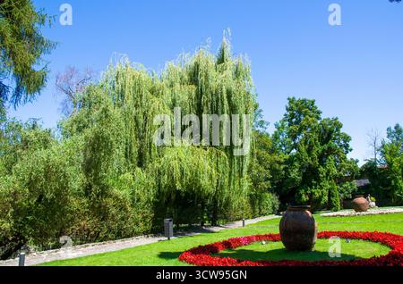 Arbre de saule pleureur surplombant un jardin entretenu avec des fleurs rouges et des urnes d'argile Banque D'Images