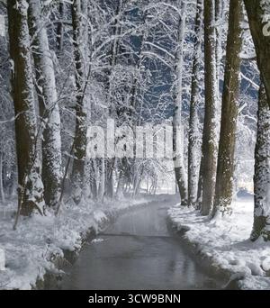 Réflexion du lac Stojčevac sur la rivière Bosna à Ilidža, Bosnie-Herzégovine — eau miroir et rivage boisé à l'heure dorée. Banque D'Images