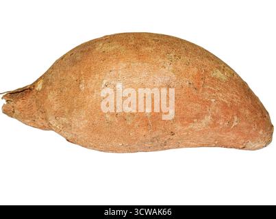 Sweet Potato isolé sur fond blanc Banque D'Images