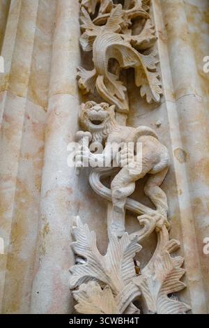 Salamanque, Espagne - 4 mars 2025 : détails des sculptures en pierre à l'extérieur de la nouvelle cathédrale de Salamanque Banque D'Images