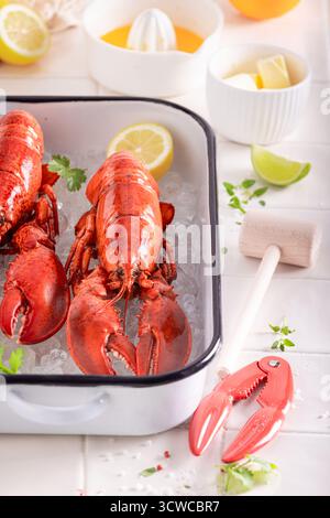 Homard rouge Teasty avec marteau et pince à fendre. Servi dans un restaurant gastronomique pour le déjeuner. Banque D'Images