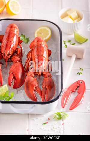 Homard rouge cuit à la vapeur comme dîner de fruits de mer méditerranéens. Homard comme fruits de mer frais. Banque D'Images
