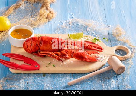 Homard rouge cuit avec un marteau et une pince à fendre. Fruits de mer délicieux et traditionnels. Banque D'Images
