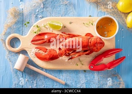 Homard rouge bouilli avec marteau et pince à fendre. Homard comme fruits de mer frais. Banque D'Images