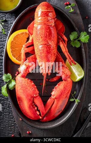 Homard rouge Teasty aromatisé aux agrumes et au beurre. Assaisonnement homard à l'orange et au beurre. Banque D'Images