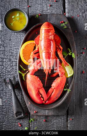 Homard rouge cuit à la vapeur aromatisé aux agrumes et au beurre. Homard comme fruits de mer frais. Banque D'Images