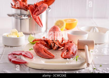Homard rouge cuit aromatisé aux agrumes et au beurre. Servi dans un restaurant gastronomique pour le déjeuner. Banque D'Images