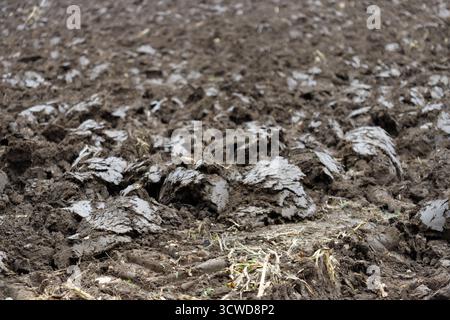Une vue rapprochée et à faible profondeur de champ de sol fraîchement labouré et humide, créant un paysage texturé de mottes brun foncé et de surfaces plus claires et exposées. Banque D'Images