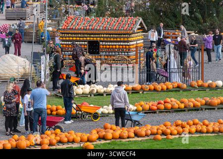 11 octobre 2025. Sunnyfields Farm Shop près de Totton, Southampton, Hampshire, Angleterre, Royaume-Uni. Le populaire événement Pumpkin Time a lieu de façon cuurente. Le festival annuel d'automne comprend des expositions étonnantes de citrouilles. Banque D'Images