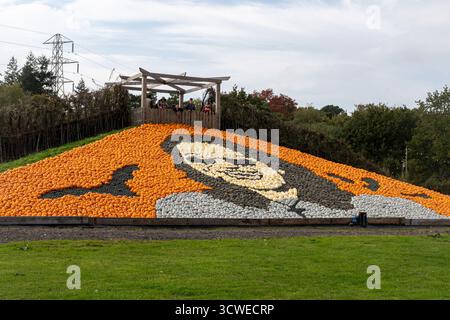 11 octobre 2025. Sunnyfields Farm Shop près de Totton, Southampton, Hampshire, Angleterre, Royaume-Uni. Le populaire événement Pumpkin Time a lieu de façon cuurente. Le festival annuel d'automne comprend des expositions étonnantes de citrouilles, y compris cette année une grande mosaïque de citrouilles d'Ozzy Osbourne honorant la star du rock décédée en juillet 2025. Banque D'Images