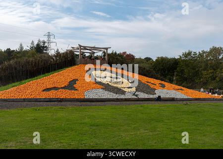 11 octobre 2025. Sunnyfields Farm Shop près de Totton, Southampton, Hampshire, Angleterre, Royaume-Uni. Le populaire événement Pumpkin Time a lieu de façon cuurente. Le festival annuel d'automne comprend des expositions étonnantes de citrouilles, y compris cette année une grande mosaïque de citrouilles d'Ozzy Osbourne honorant la star du rock décédée en juillet 2025. Banque D'Images