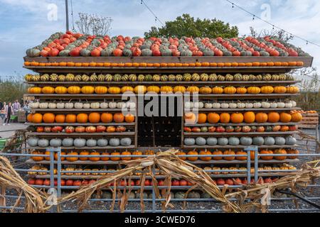 11 octobre 2025. Sunnyfields Farm Shop près de Totton, Southampton, Hampshire, Angleterre, Royaume-Uni. Le populaire événement Pumpkin Time a lieu de façon cuurente. Le festival annuel d'automne comprend des expositions étonnantes de citrouilles. Banque D'Images