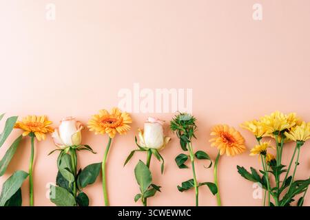 Fleurs jaunes et roses blanches disposées en rangée sur fond de pêche pastel. Composition florale printanière, concept de beauté naturelle. Vue de dessus, plat, co Banque D'Images