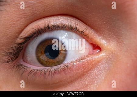 Oeil Hazel avec pupille noire foncée, cils. Gros plan, macro a photographié l'œil d'un jeune homme avec un iris noisetier. Vision, anatomie humaine et concept de beauté Banque D'Images
