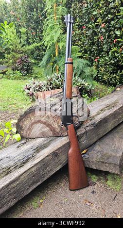 Vue d'un fusil à levier calibre .22 Outddors Banque D'Images